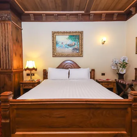 Brilant Antic Appartement