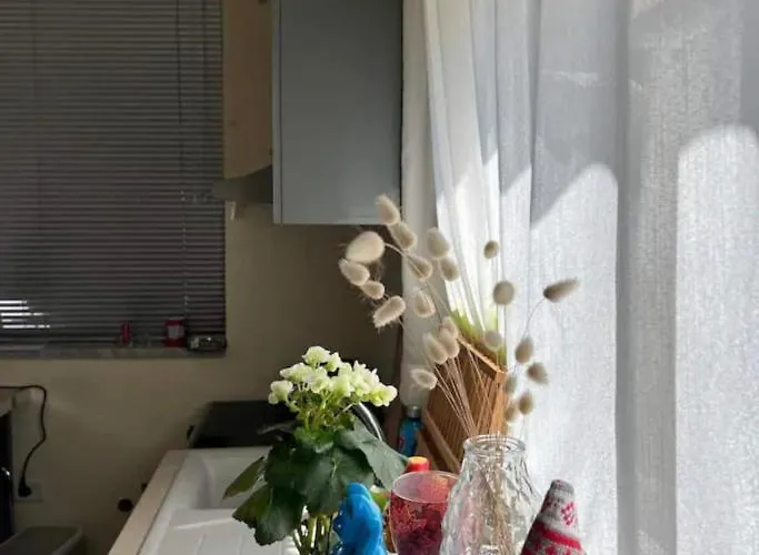 Appartement Brilant Antic Hotel